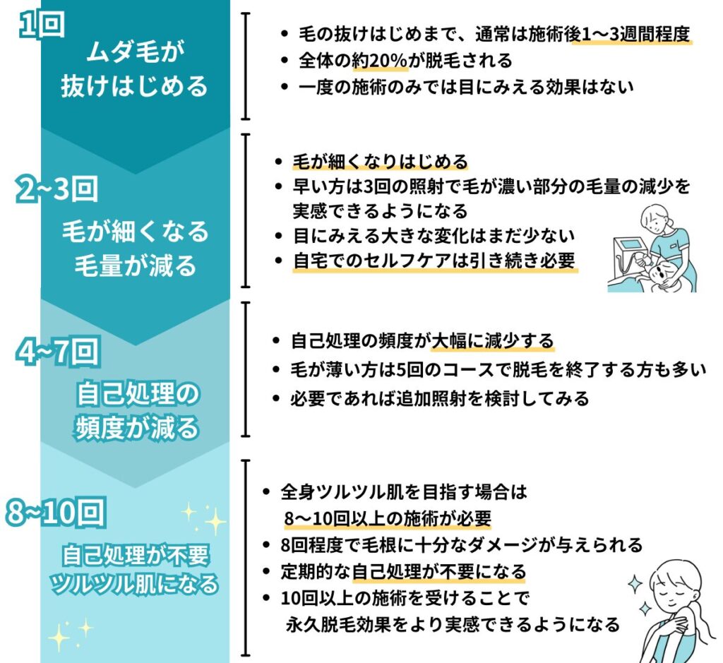 医療脱毛の回数ごとの効果の目安