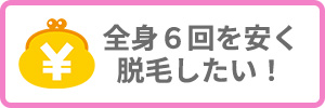全身6回を安く脱毛したい方