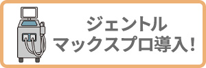 ジェントルマックスプロ導入！