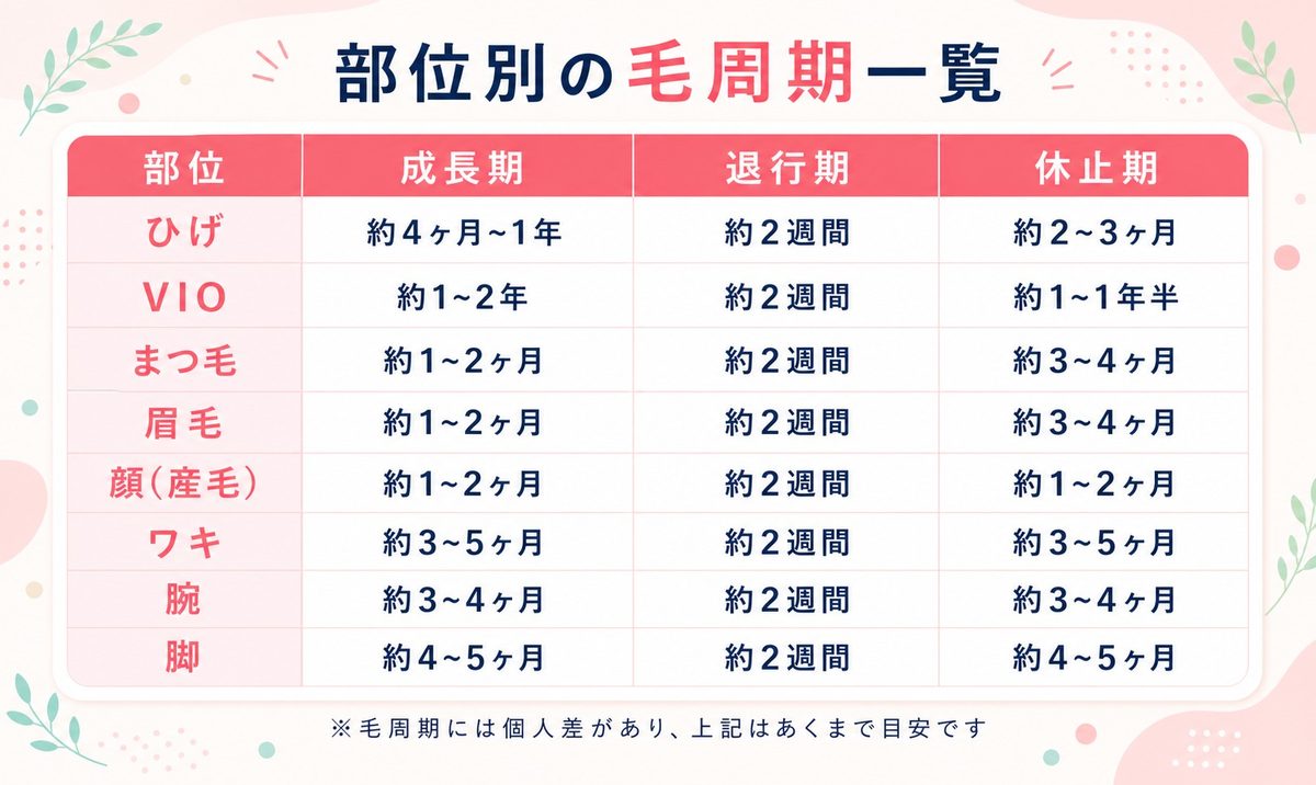 毛周期の部位別一覧！ひげ・VIO・まつげの期間は何ヶ月？