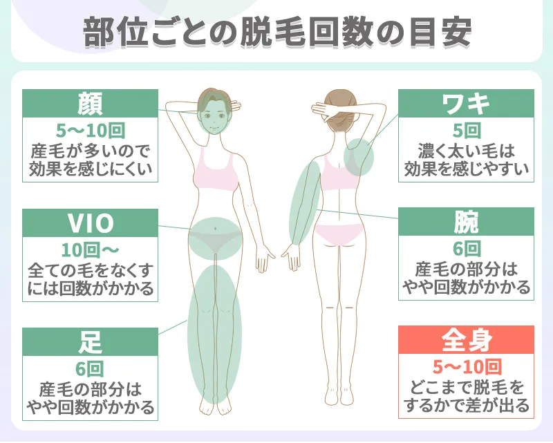 部位ごとの脱毛回数