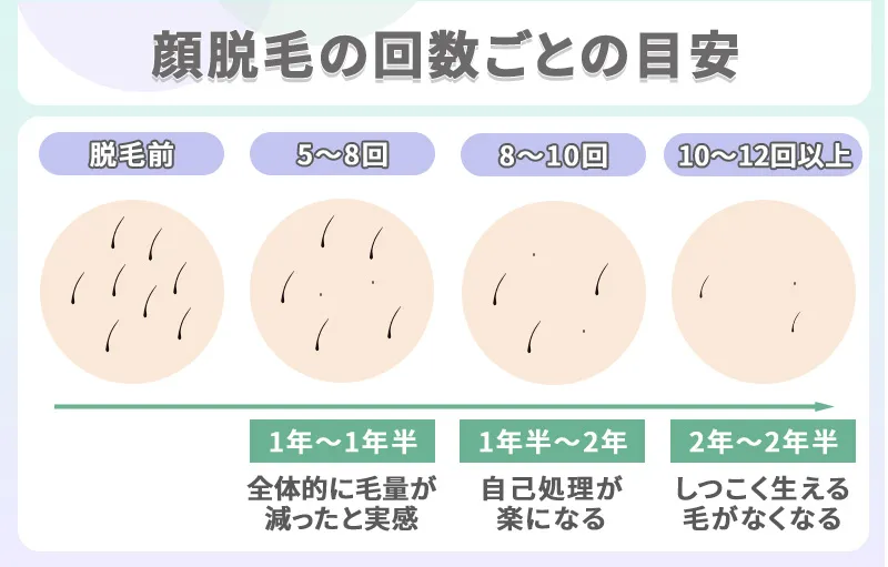 顔脱毛の回数ごとの目安