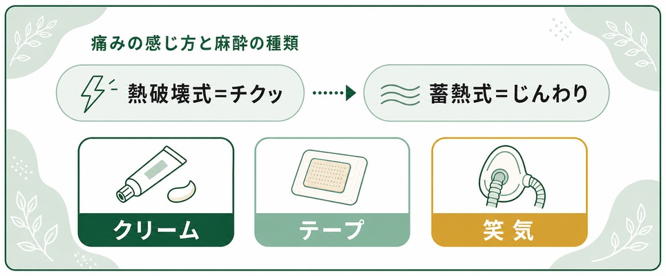 痛みの感じ方と麻酔3種を示す図解