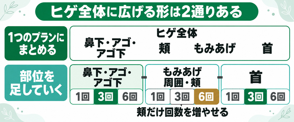 ヒゲ全体に広げる形は1つのプランにまとめる型と部位を足す型の2通りで、部位を足す型では頬だけ回数を増やせることを示した図