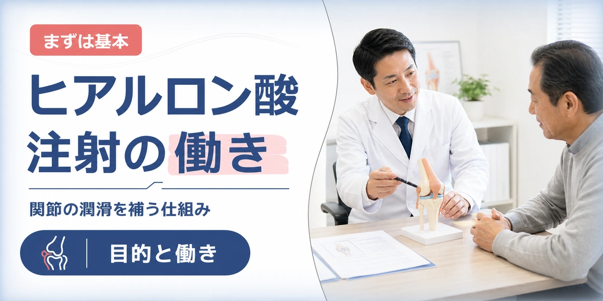 膝のヒアルロン酸注射の目的と働きを解説