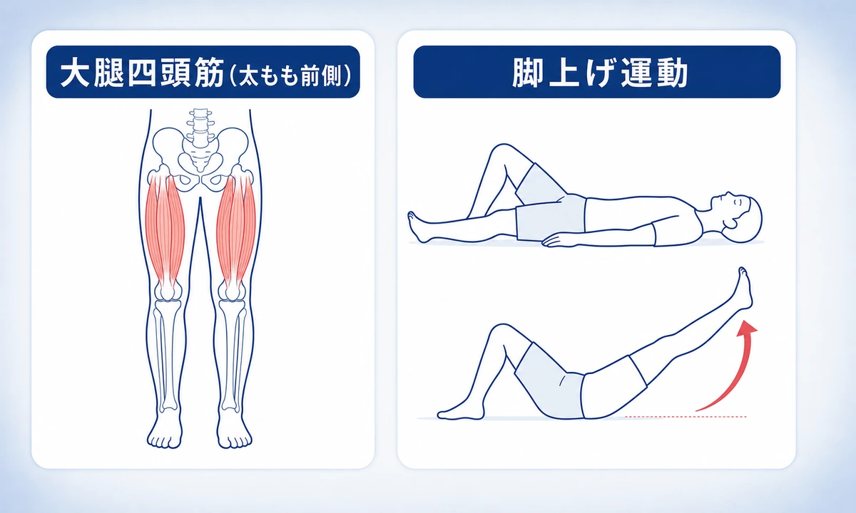 変形性膝関節症でしてもいい運動とストレッチ