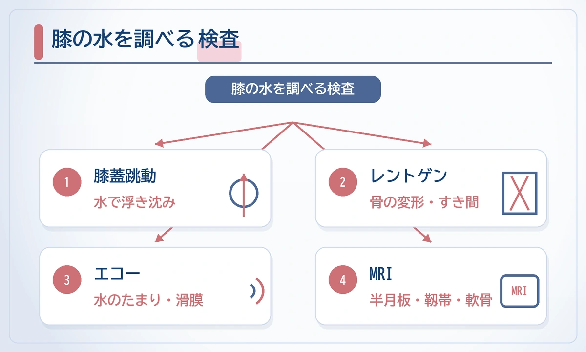 膝に水がたまったら何科？レントゲンやエコーでわかる検査