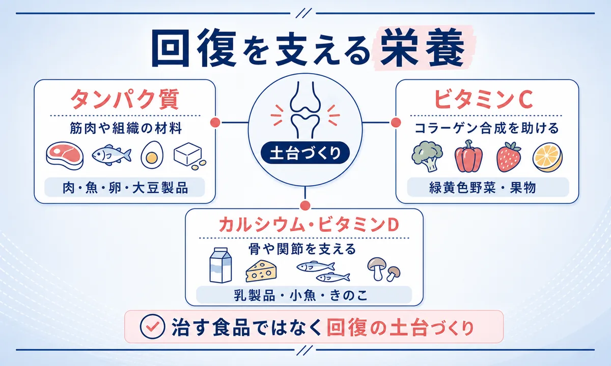 半月板損傷の回復をサポートする食べ物と栄養