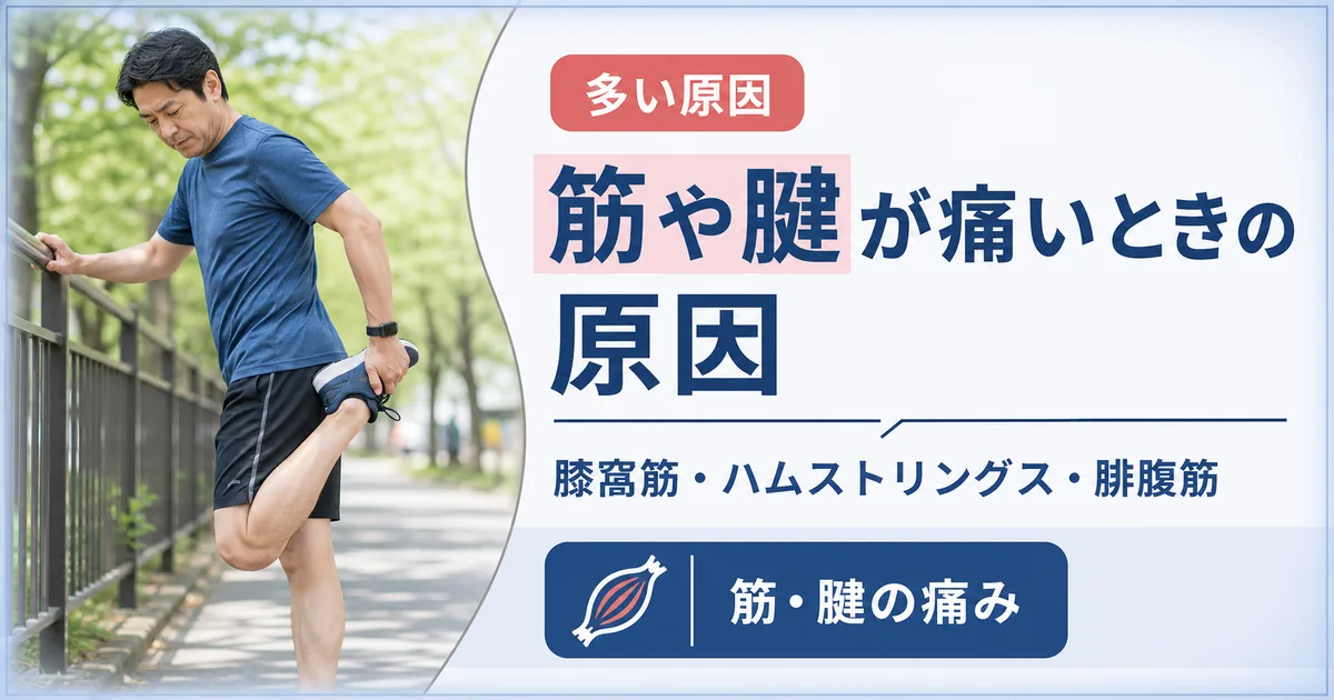 膝の裏の筋や腱が痛いときの原因