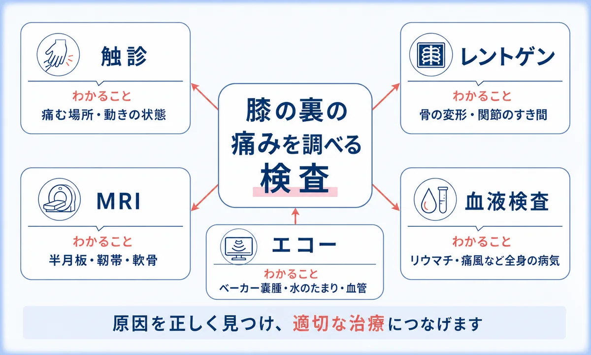 膝の裏が痛いときは何科に行けばいい?