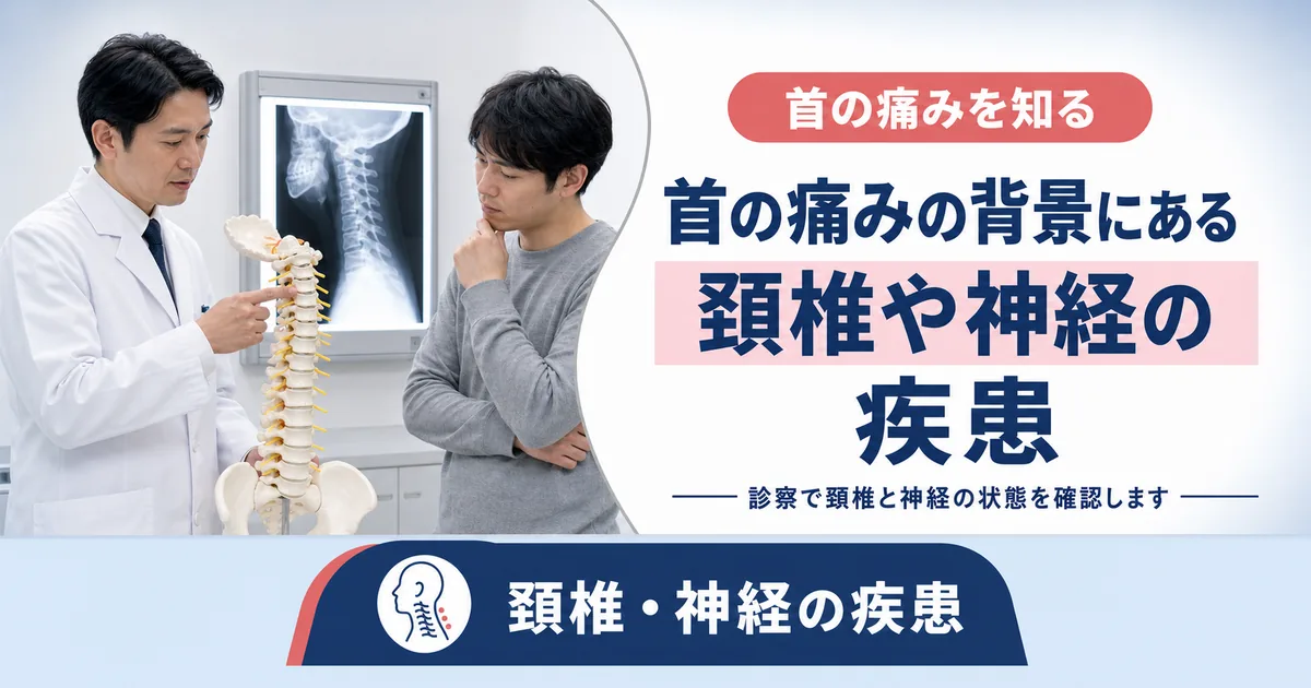 首の痛みの背景にある頚椎や神経の疾患