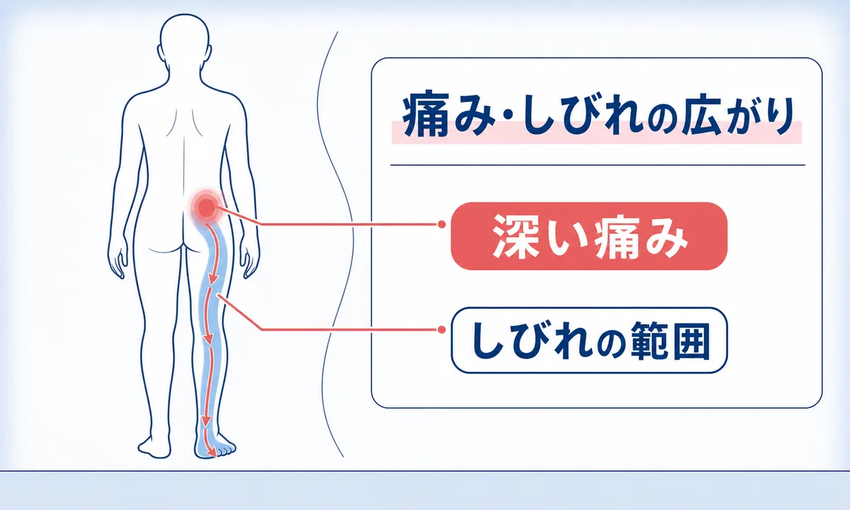 梨状筋症候群の症状と痛み・しびれの出る場所
