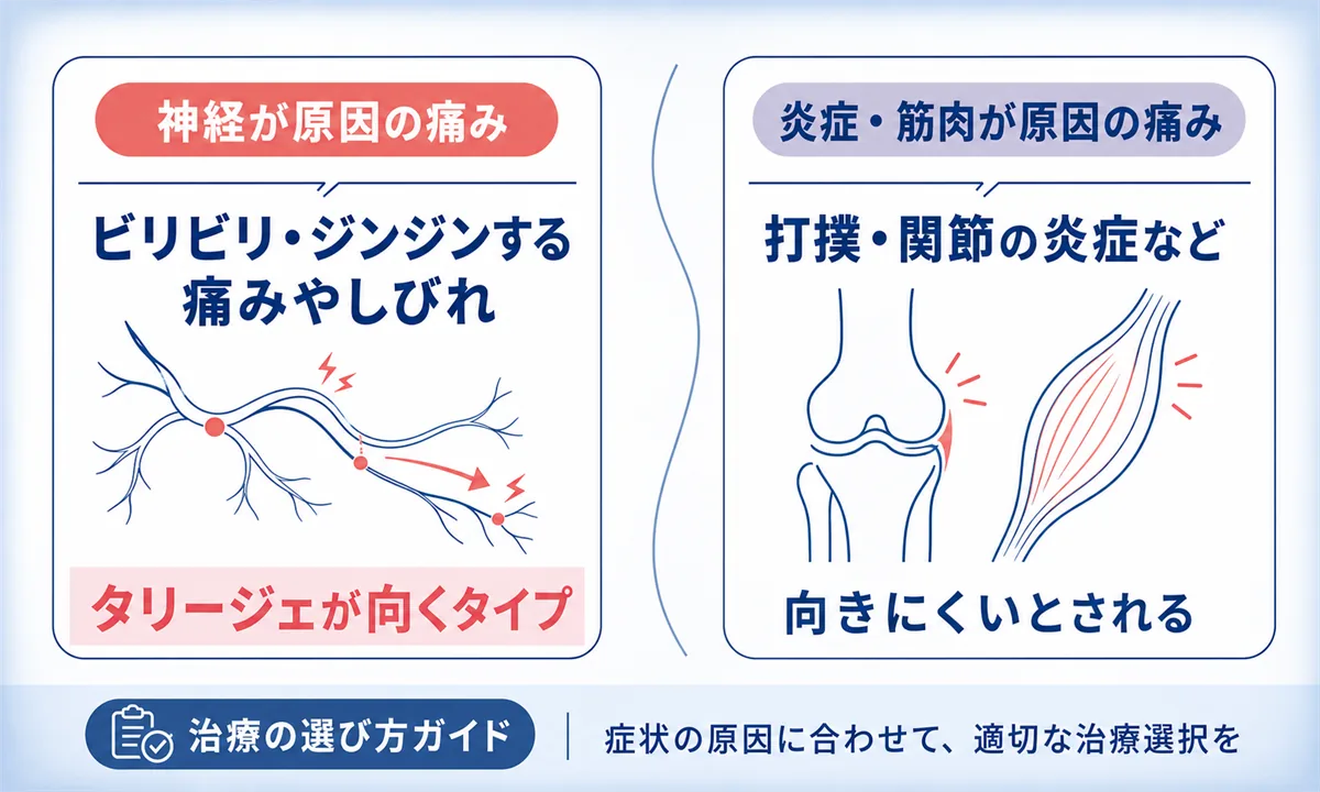 タリージェ(ミロガバリン)の基本と神経障害性疼痛への働き