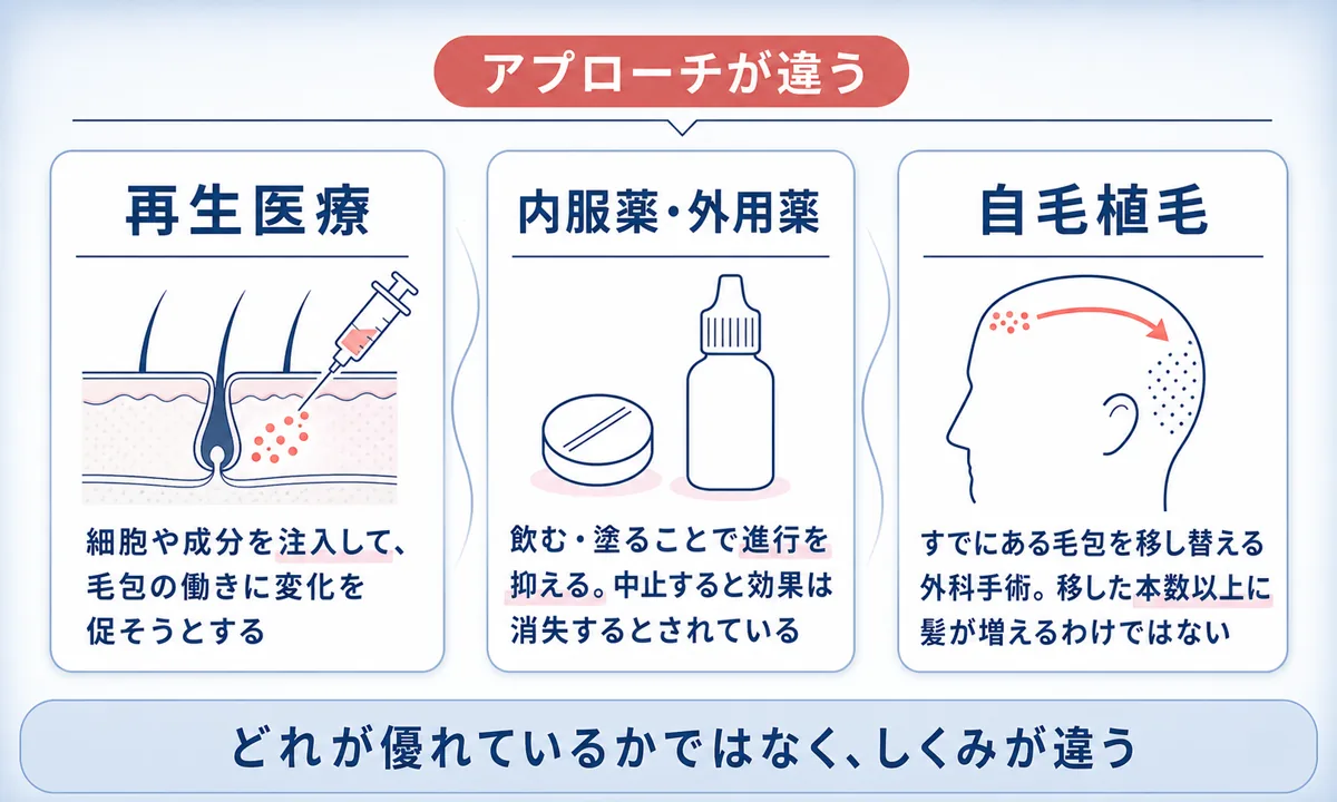 再生医療・内服薬や外用薬・自毛植毛の3つで、髪へのアプローチのしくみがどう違うかを並べた図
