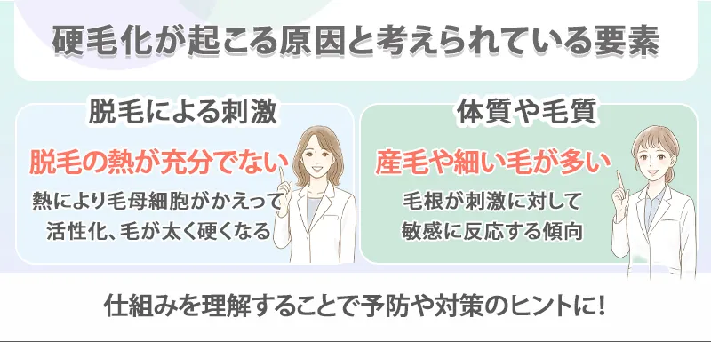 硬毛化の原因