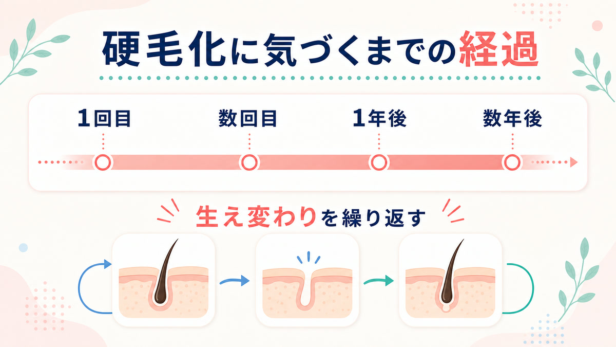 硬毛化はいつ・何回目に起こる？経過の目安