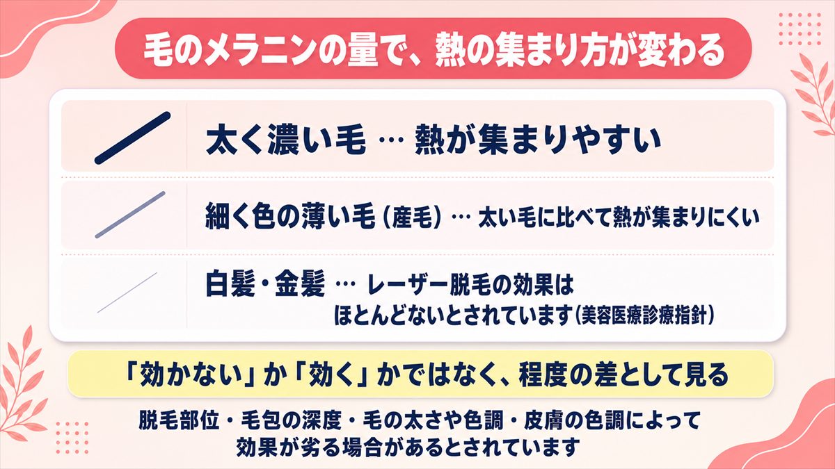 毛のメラニンの量によってレーザーの熱の集まり方が変わることを段階で示した図