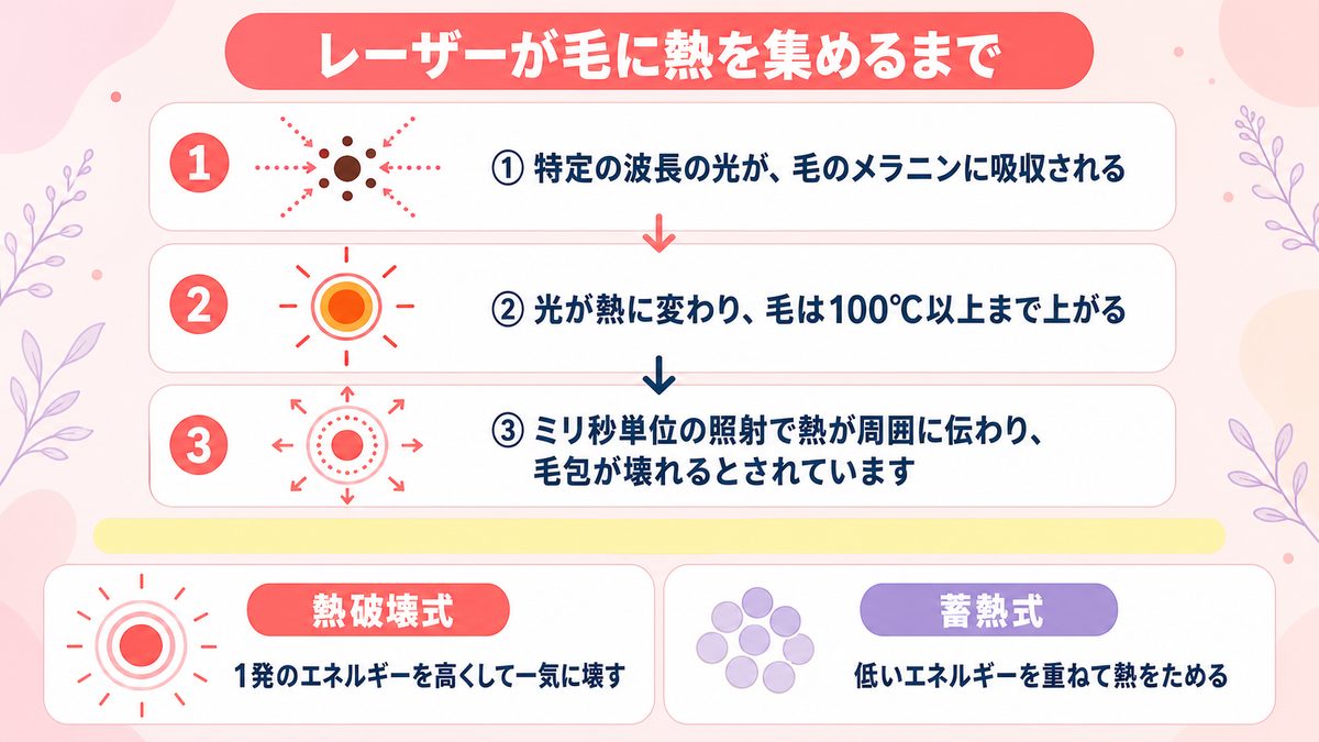 レーザーの光が毛のメラニンに吸収されて熱に変わり毛包へ伝わるまでの流れを示した図