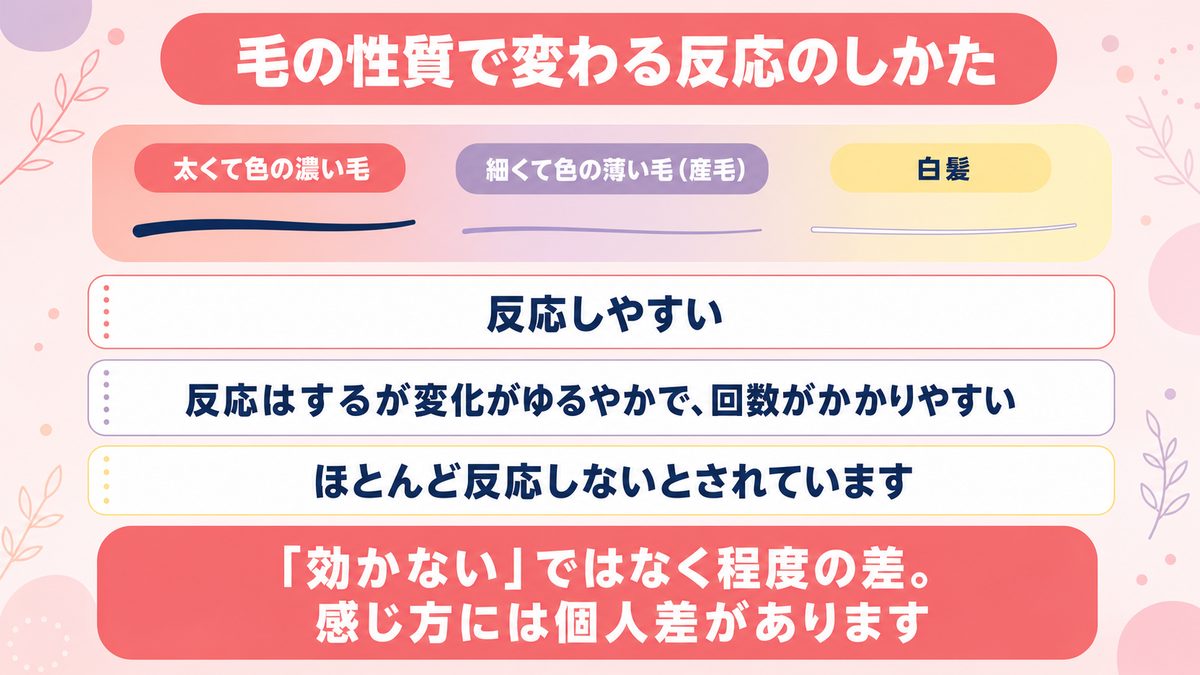 毛の太さと色によってレーザーの反応のしかたが変わることを示した図