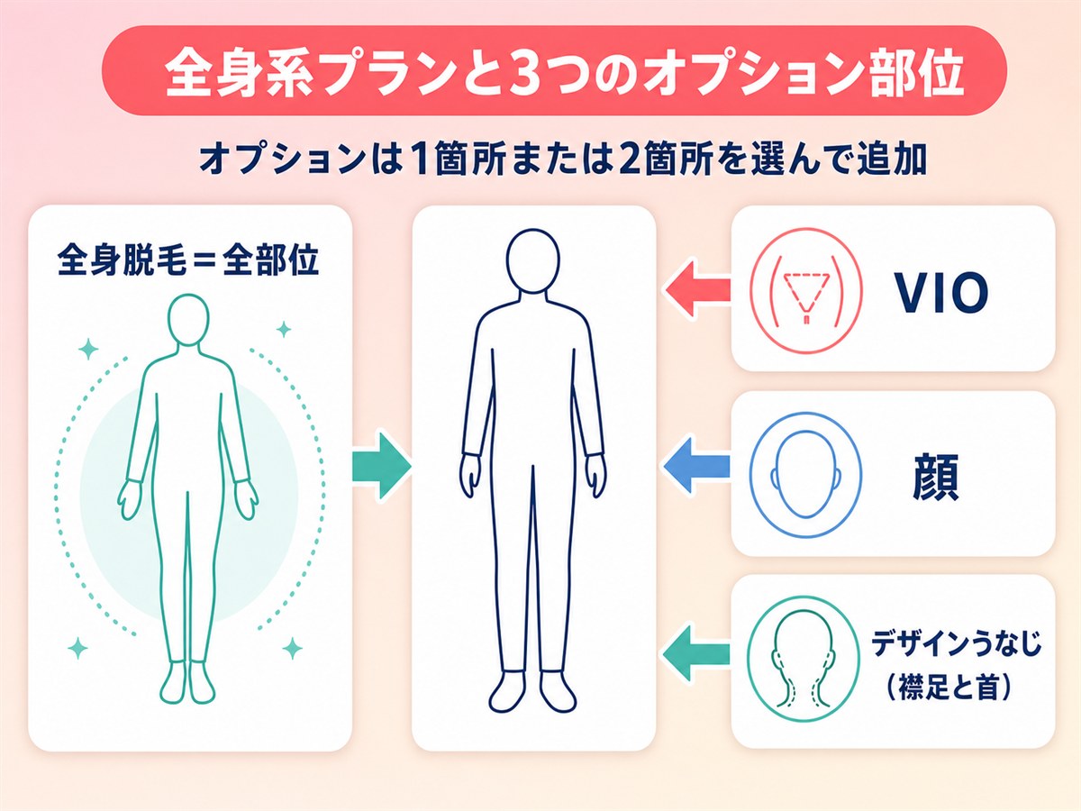ルシアクリニックの全身系プランとオプション3部位の関係を示す図解