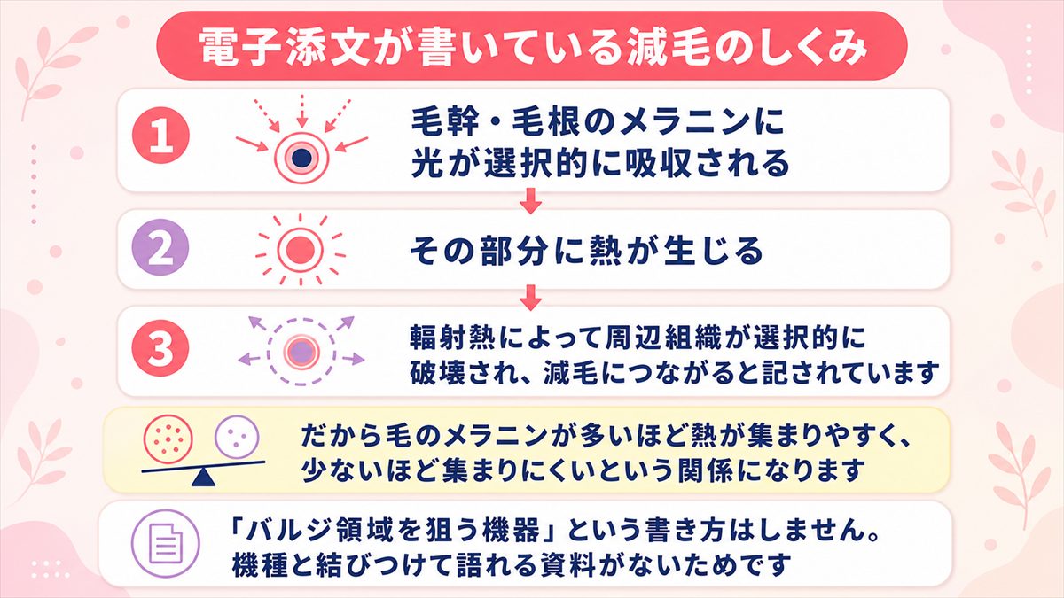 毛のメラニンに光が吸収され熱が周辺組織へ伝わって減毛につながる流れを示した図