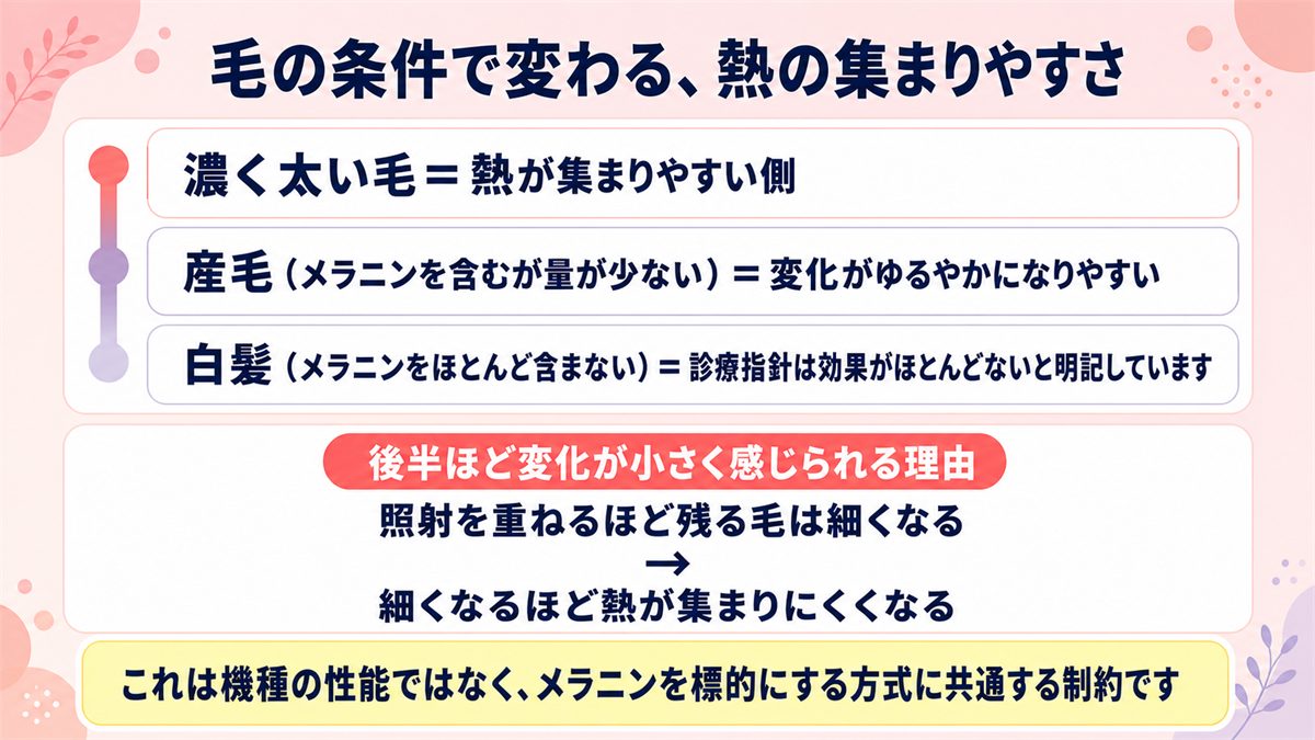毛の濃さや白髪かどうかによってレーザーの熱の集まりやすさが変わることを示した図