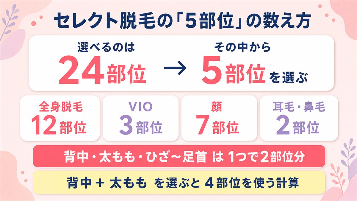 リゼクリニックのセレクト脱毛で選べる24部位の内訳と、2部位分として数える部位を示した図