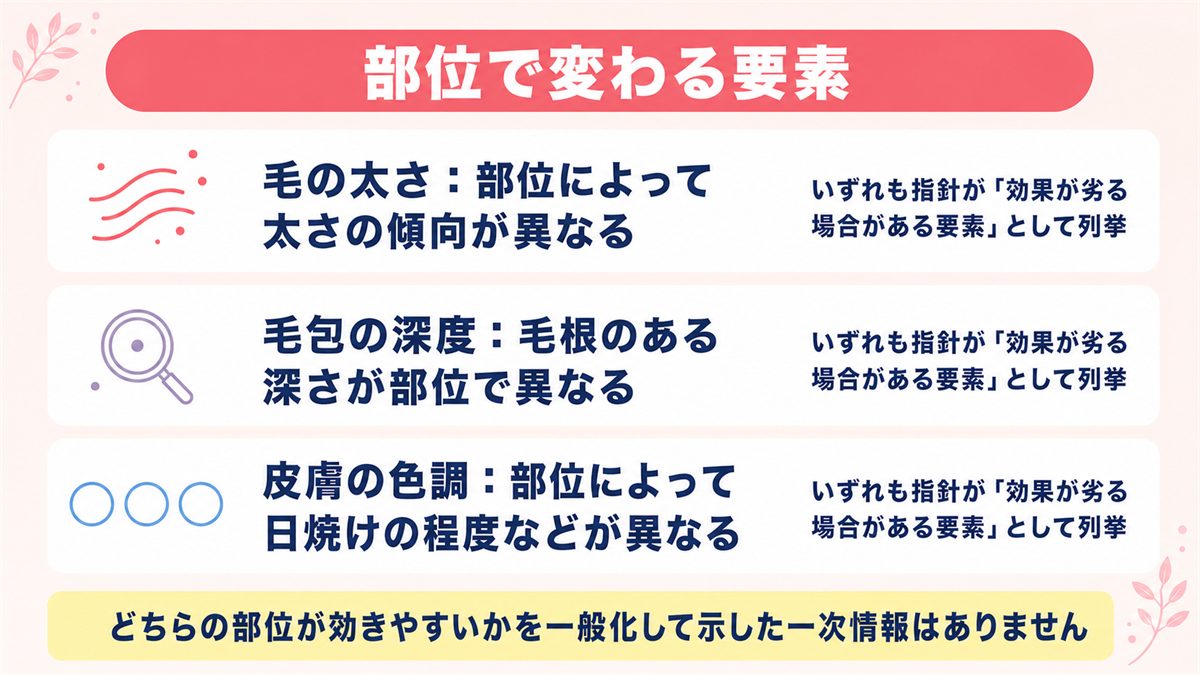 部位によって毛の太さと毛包の深度と皮膚の色調が変わることを整理した図