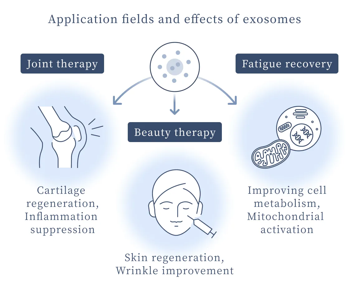 Exosome application fields and effects